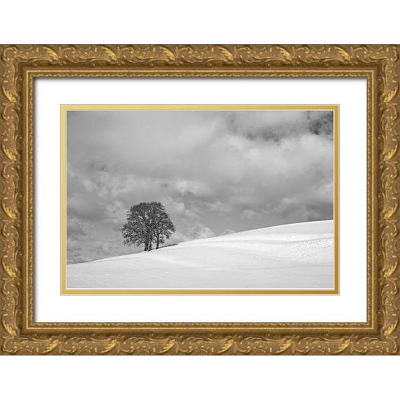 Peter Rank, Hans 24x17 Gold Ornate Wood Framed with Double Matting Museum Art Print Titled - A cloudy winter day