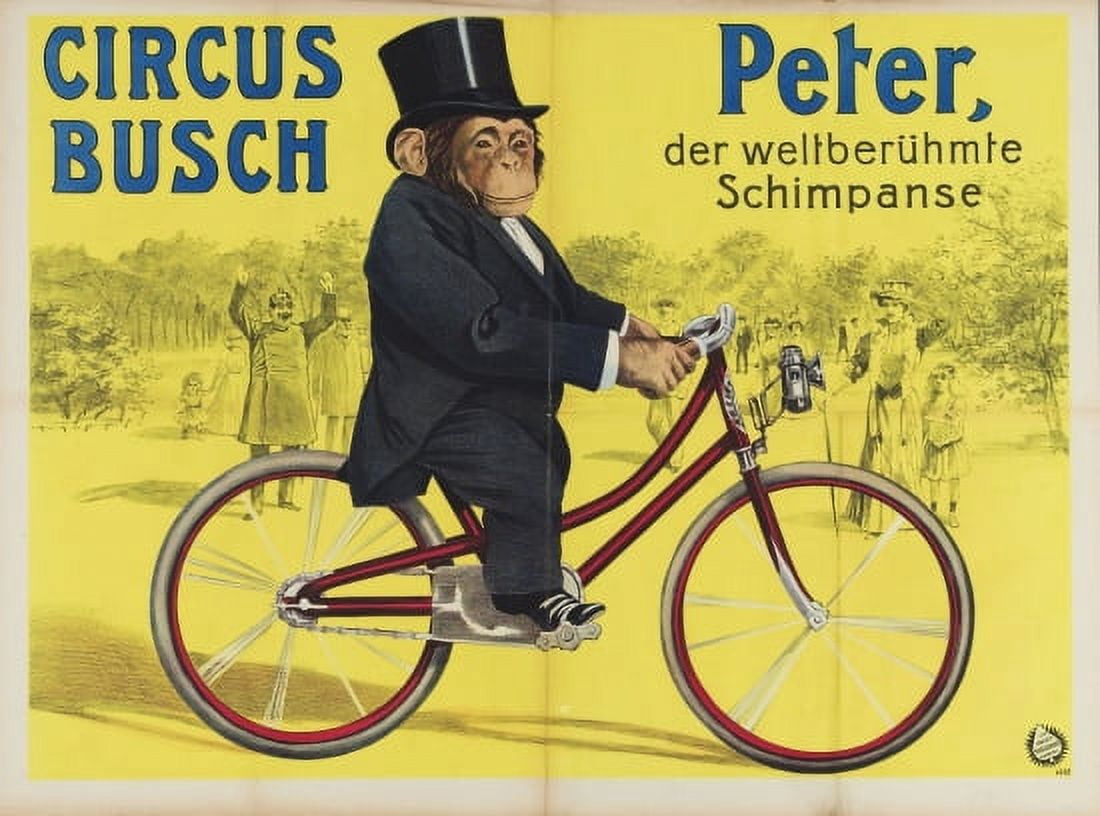 Peter The Chimpanzee Riding A Bike Canvas Art - (36 x 54)