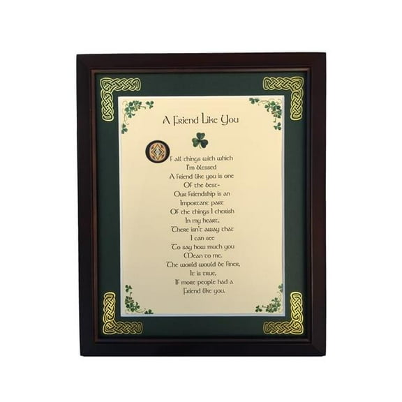 Peter Townsends Irish MPF8x10-A-Friend-Like-You 8 x 10 in. A Friend Like You Blessing Photo Frame