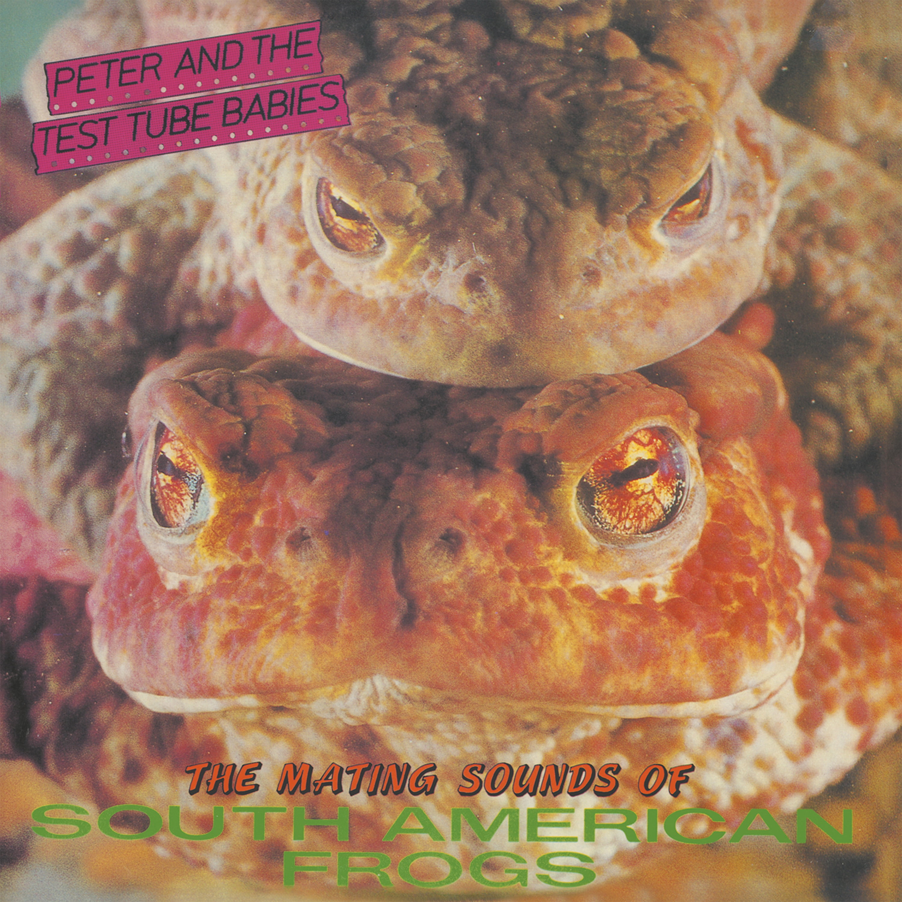 Peter & the Test Tube Babies - Mating Sounds Of South American Frogs - Music & Performance - Vinyl