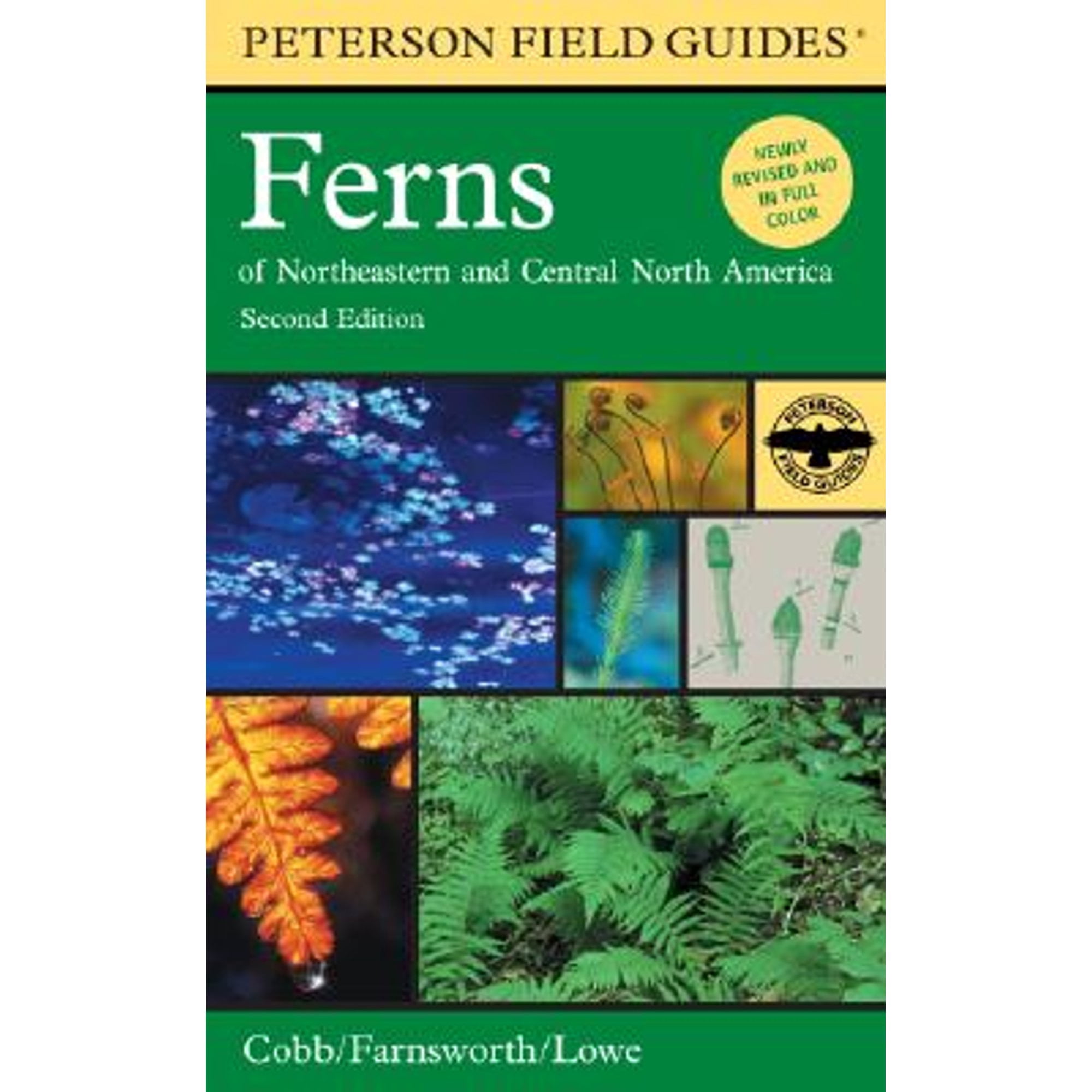 Pre-Owned Peterson Field Guide to Ferns, Second Edition: Northeastern and Central North America (Paperback) 0618394060 9780618394067