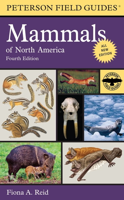 FIONA REID Peterson Field Guides Peterson Field Guide to Mammals of North America, (Paperback)