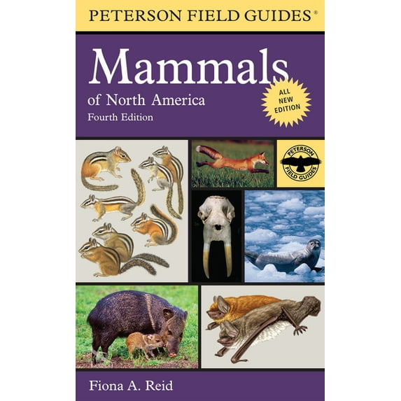 Peterson Field Guides Peterson Field Guide to Mammals of North America, (Paperback)