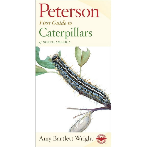 Peterson First Guide Peterson First Guide to Caterpillars of North America, (Paperback)