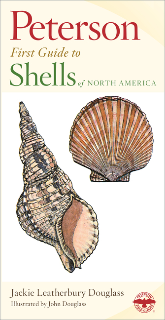 Peterson First Guide: Shells of North America (Paperback) - image 1 of 1