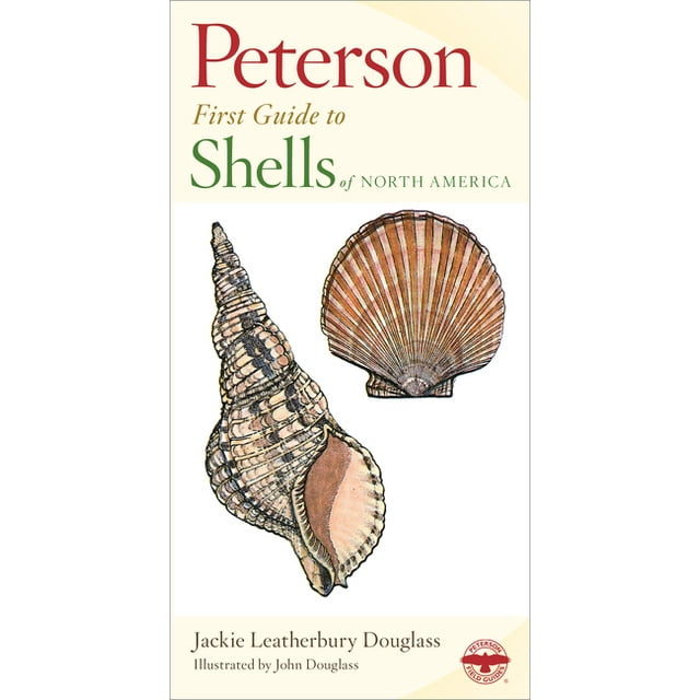 Peterson First Guide: Shells of North America (Paperback)