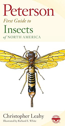 Peterson First Guide to Insects - 2nd Edition by Richard E White (Paperback)