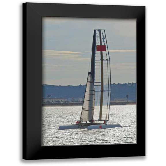 Peterson, Lee 11x14 Black Modern Framed Museum Art Print Titled - Americas Cup II