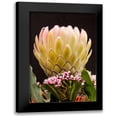 thumbnail image 1 of Peterson, Lee 11x14 Black Modern Framed Museum Art Print Titled - Protea Artistata, 1 of 5
