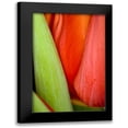 thumbnail image 1 of Peterson, Lee 11x14 Black Modern Framed Museum Art Print Titled - Tulip Detail I, 1 of 5
