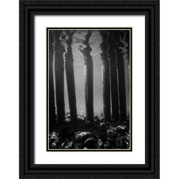 Peterson, Lee 11x14 Black Ornate Wood Framed with Double Matting Museum Art Print Titled - Pier Pilings V