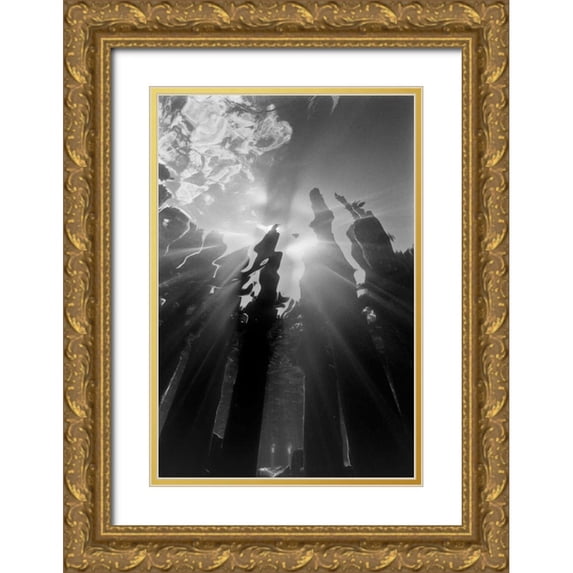 Peterson, Lee 13x18 Gold Ornate Wood Framed with Double Matting Museum Art Print Titled - Pier Pilings VI