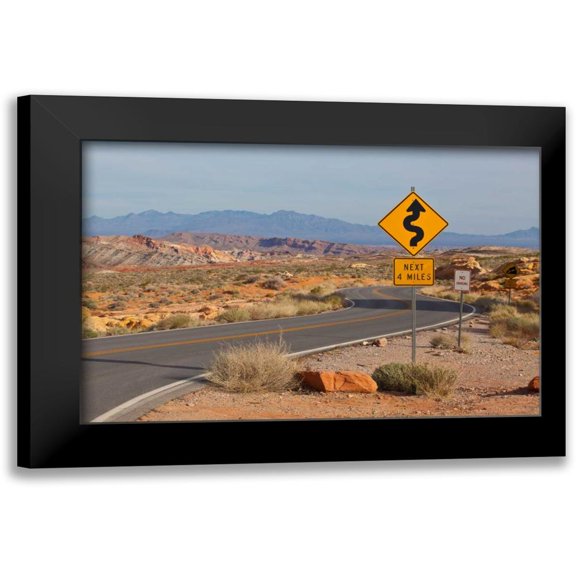 Peterson, Lee 14x11 Black Modern Framed Museum Art Print Titled - Desert Roads I