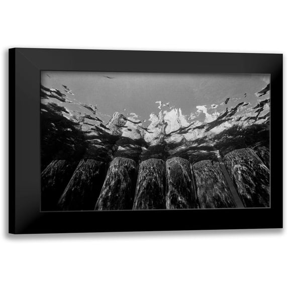 Peterson, Lee 14x11 Black Modern Framed Museum Art Print Titled - Pier Pilings I