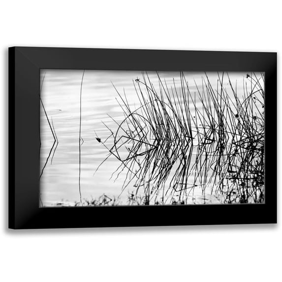 Peterson, Lee 14x11 Black Modern Framed Museum Art Print Titled - Reeds II