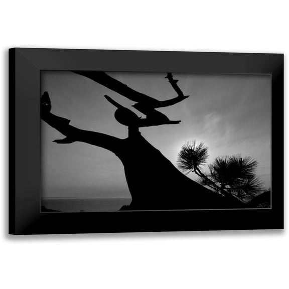 Peterson, Lee 14x11 Black Modern Framed Museum Art Print Titled - Tree I