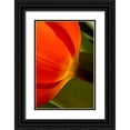 thumbnail image 1 of Peterson, Lee 17x24 Black Ornate Wood Framed with Double Matting Museum Art Print Titled - Tulip Detail II, 1 of 4