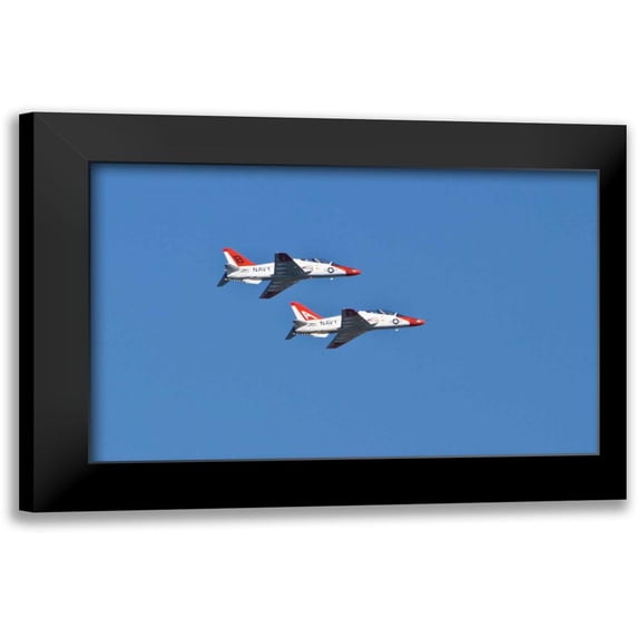 Peterson, Lee 18x13 Black Modern Framed Museum Art Print Titled - Air Show II