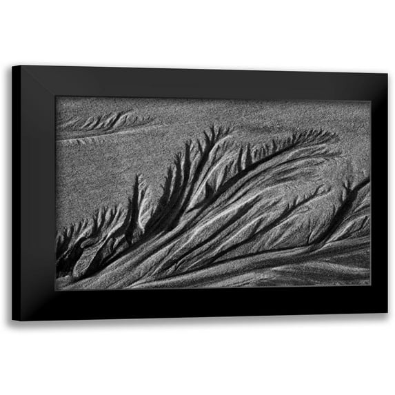 Peterson, Lee 18x13 Black Modern Framed Museum Art Print Titled - Texture Sand III