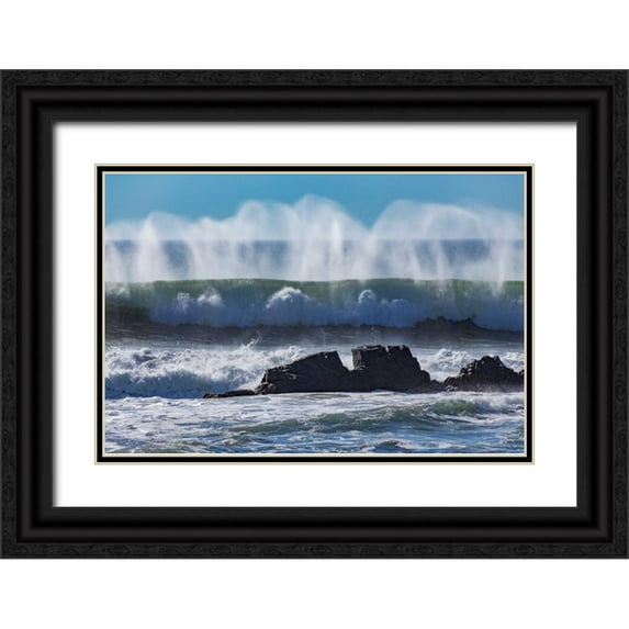 Peterson, Lee 18x13 Black Ornate Wood Framed with Double Matting Museum Art Print Titled - North Cayucos VI