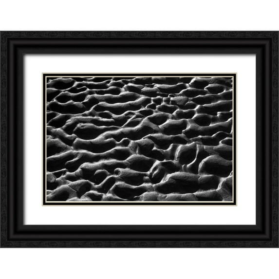 Peterson, Lee 18x13 Black Ornate Wood Framed with Double Matting Museum Art Print Titled - Texture Sand VII
