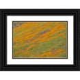 thumbnail image 1 of Peterson, Lee 18x13 Black Ornate Wood Framed with Double Matting Museum Art Print Titled - Wildflower Hills IV, 1 of 4