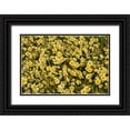thumbnail image 1 of Peterson, Lee 18x13 Black Ornate Wood Framed with Double Matting Museum Art Print Titled - Yellow and White I, 1 of 4