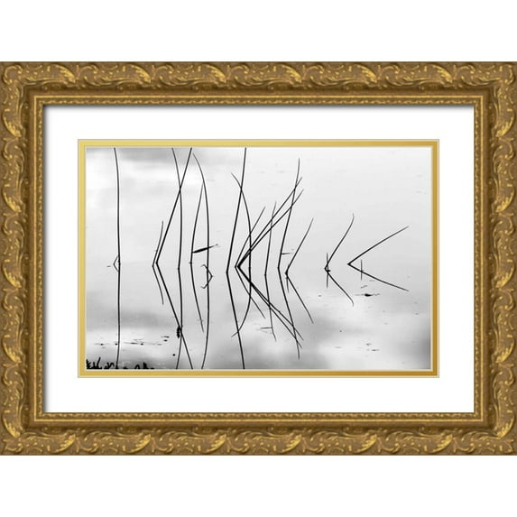 Peterson, Lee 18x13 Gold Ornate Wood Framed with Double Matting Museum Art Print Titled - Reeds I