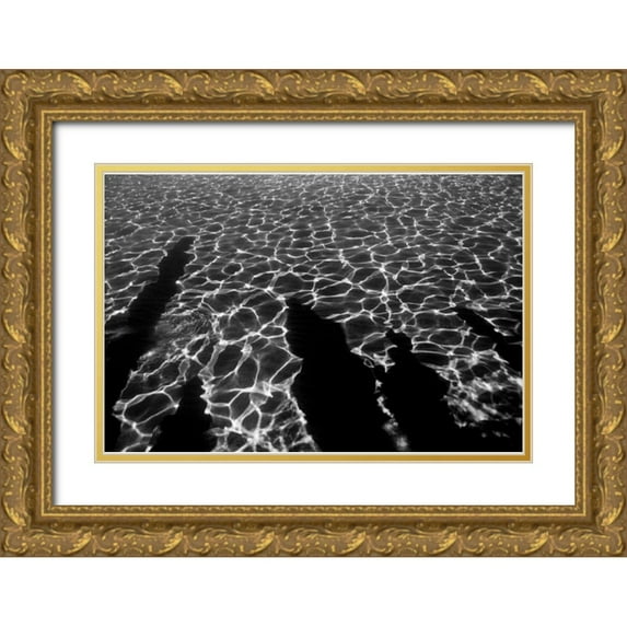 Peterson, Lee 18x13 Gold Ornate Wood Framed with Double Matting Museum Art Print Titled - Wave
