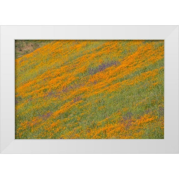 Peterson, Lee 18x13 White Modern Wood Framed Museum Art Print Titled - Wildflower Hills IV