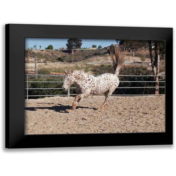 Peterson, Lee 18x14 Black Modern Framed Museum Art Print Titled - Happy Horse II