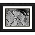 thumbnail image 1 of Peterson, Lee 18x14 Black Ornate Wood Framed with Double Matting Museum Art Print Titled - Texture II, 1 of 4
