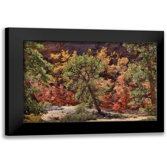 Peterson, Lee 24x17 Black Modern Framed Museum Art Print Titled - Fall Leaves V