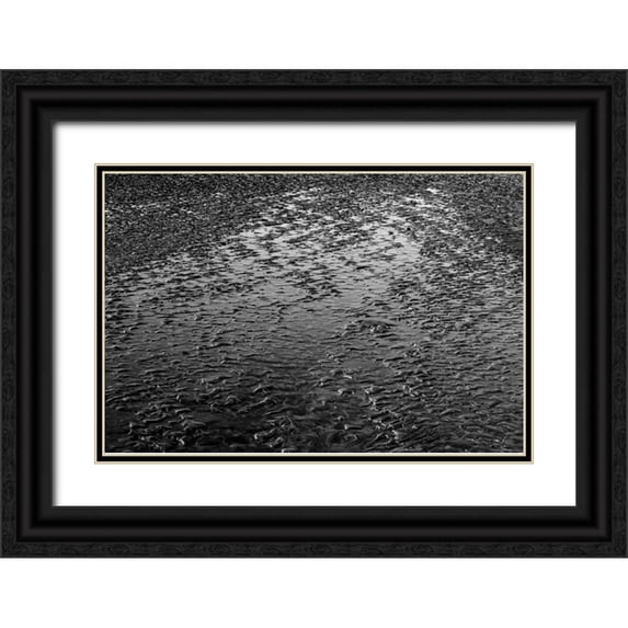 Peterson, Lee 24x17 Black Ornate Wood Framed with Double Matting Museum Art Print Titled - Beach Reflection I