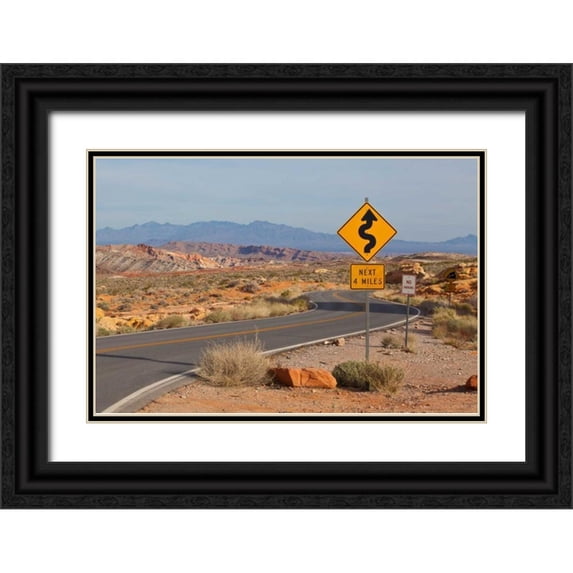 Peterson, Lee 24x17 Black Ornate Wood Framed with Double Matting Museum Art Print Titled - Desert Roads I