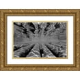 thumbnail image 1 of Peterson, Lee 24x17 Gold Ornate Wood Framed with Double Matting Museum Art Print Titled - Pier Pilings III, 1 of 4