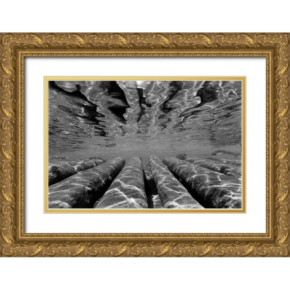 Peterson, Lee 24x17 Gold Ornate Wood Framed with Double Matting Museum Art Print Titled - Pier Pilings III