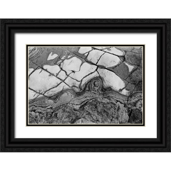 Peterson, Lee 24x18 Black Ornate Wood Framed with Double Matting Museum Art Print Titled - Texture I