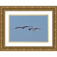 thumbnail image 1 of Peterson, Lee 24x18 Gold Ornate Wood Framed with Double Matting Museum Art Print Titled - Pelicans in Flight II, 1 of 4