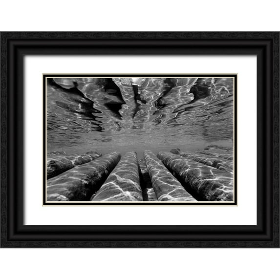 Peterson, Lee 32x23 Black Ornate Wood Framed with Double Matting Museum Art Print Titled - Pier Pilings III