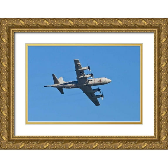Peterson, Lee 32x23 Gold Ornate Wood Framed with Double Matting Museum Art Print Titled - Air Show VI