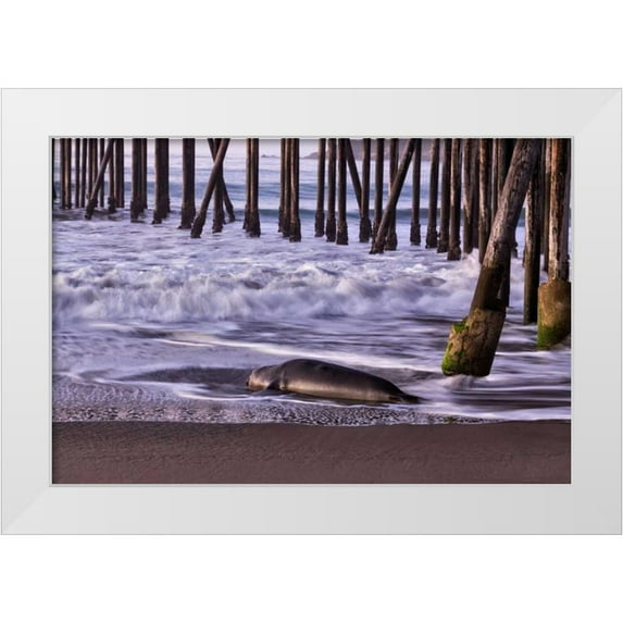 Peterson, Lee 32x23 White Modern Wood Framed Museum Art Print Titled - San Simeon Pier I