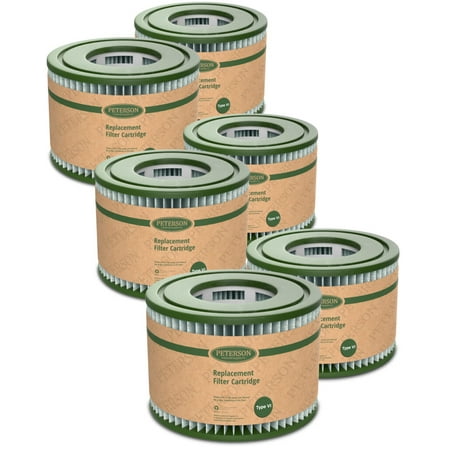 Peterson Replacement Filter Type VI for Inflatable Hot Tub Compatible with Bestway SaluSpa (6 Pack)