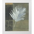 thumbnail image 1 of Peterson, Steve 12x14 White Modern Wood Framed Museum Art Print Titled - Kentia, 1 of 4