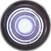 Peterson V171C Led Utility, Round, 0.75in., White, Viz Pack