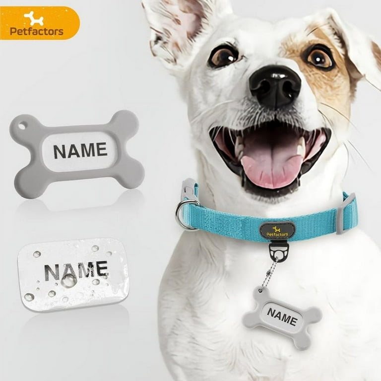 Pet collars and tags deals