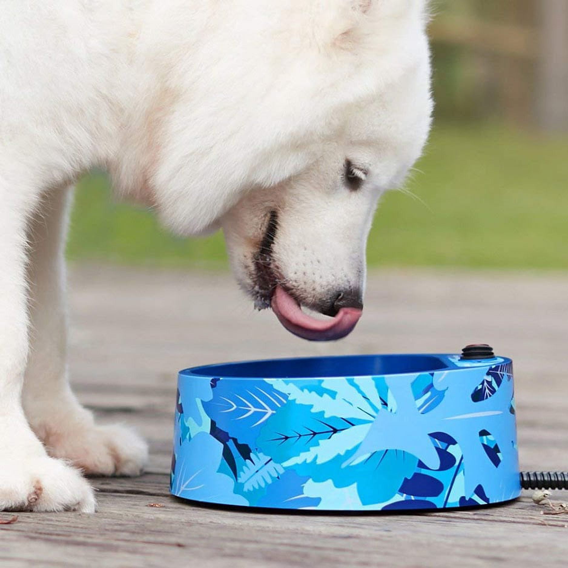 Best outdoor dog clearance bowl