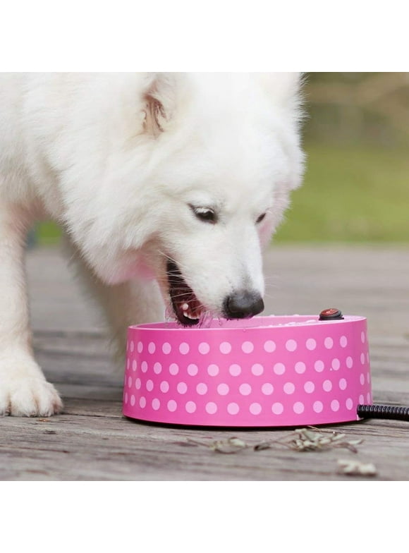 Heated Pet Water Bowls in Dog Bowls and Accessories
