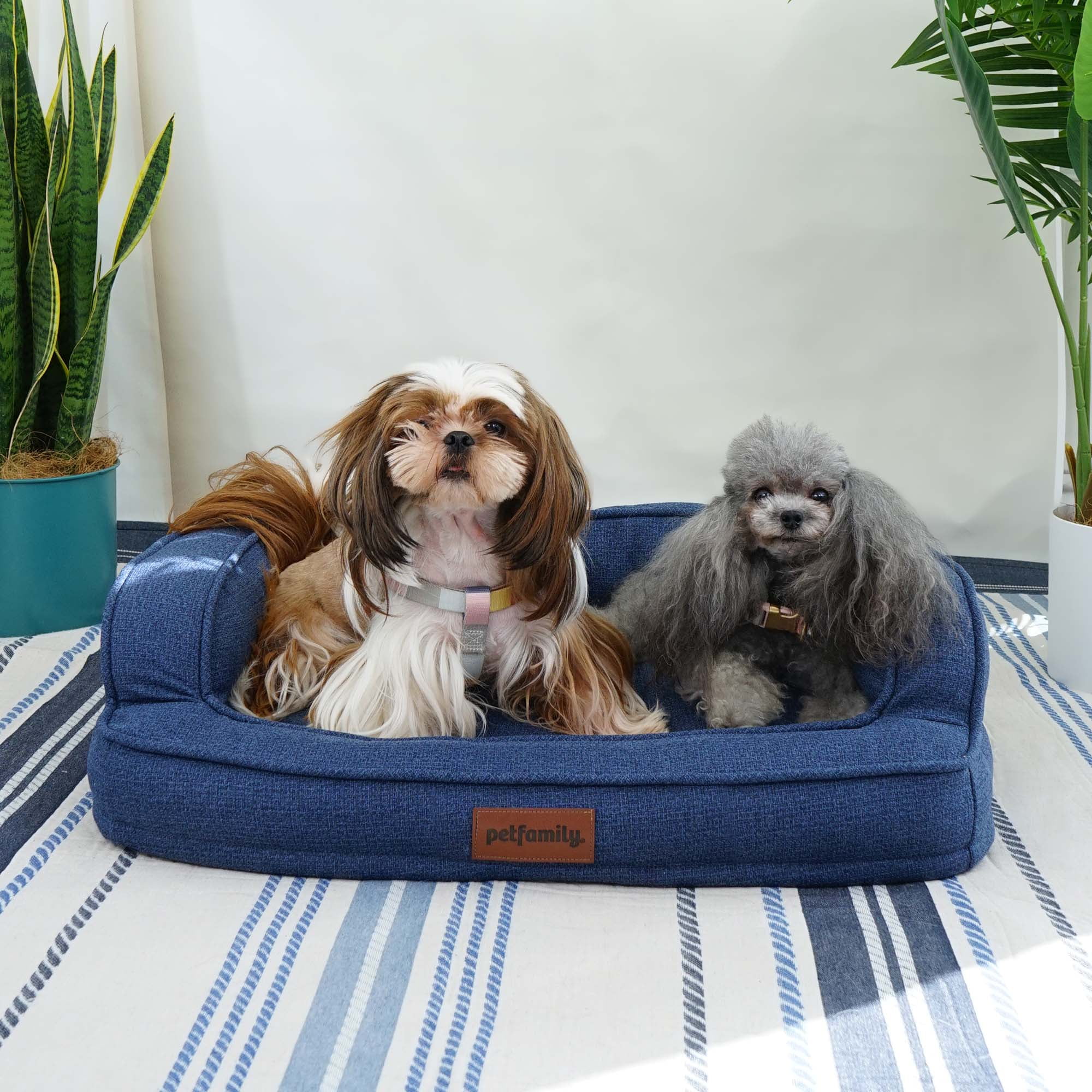 Petfamily Luxe Mattress, Medium Washable Dog Bed, Navy Blue, 30"x22"x8
