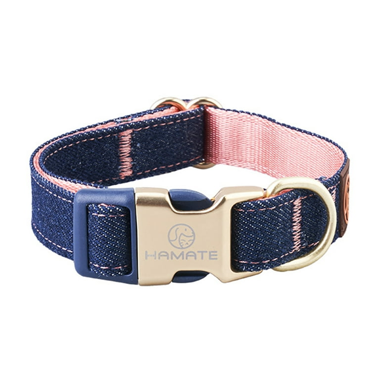 Coral color dog collar 2025